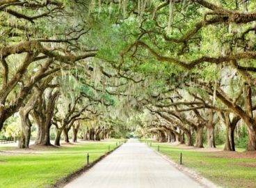 Historic Charleston & Savannah